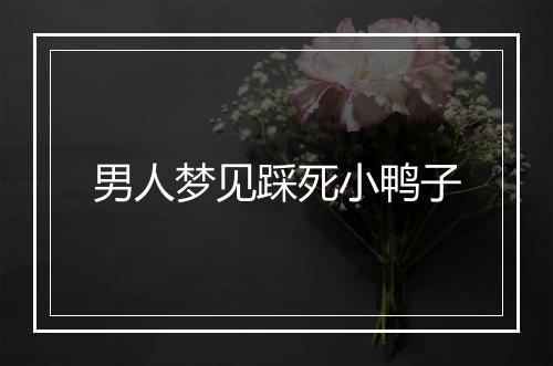 男人梦见踩死小鸭子