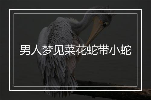 男人梦见菜花蛇带小蛇