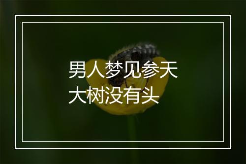 男人梦见参天大树没有头