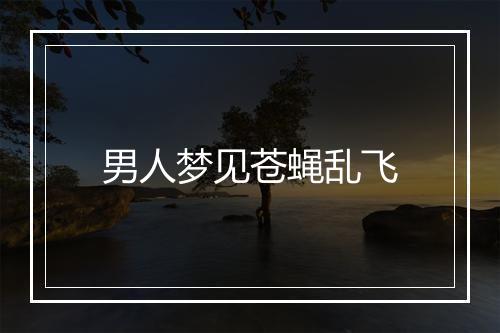 男人梦见苍蝇乱飞