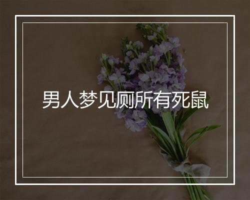 男人梦见厕所有死鼠