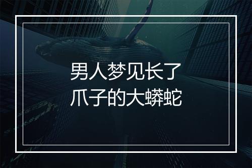 男人梦见长了爪子的大蟒蛇