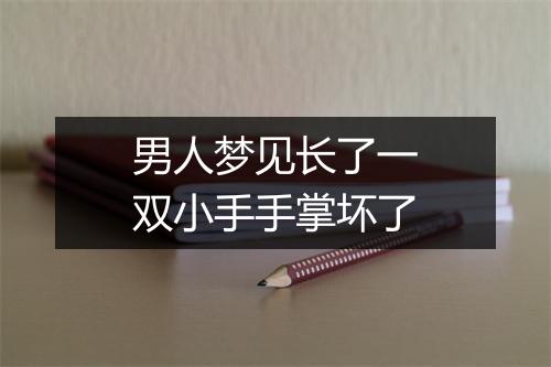 男人梦见长了一双小手手掌坏了