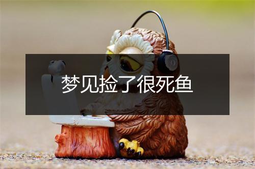 梦见捡了很死鱼