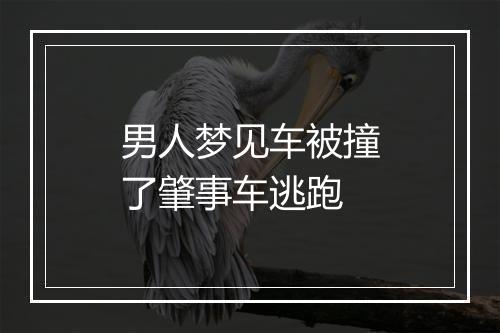 男人梦见车被撞了肇事车逃跑