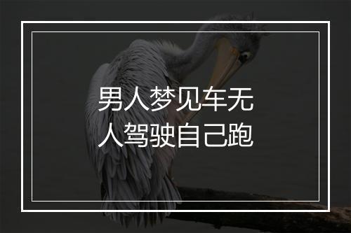 男人梦见车无人驾驶自己跑