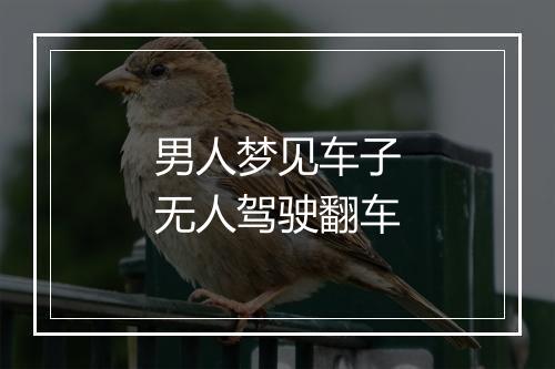 男人梦见车子无人驾驶翻车