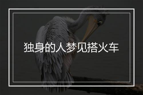 独身的人梦见搭火车