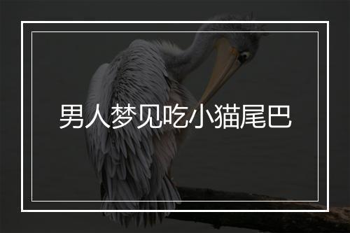 男人梦见吃小猫尾巴