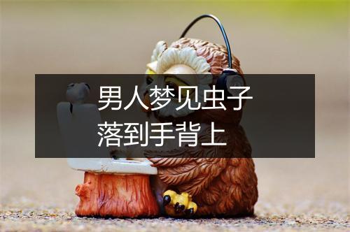 男人梦见虫子落到手背上