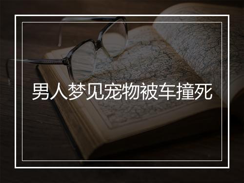 男人梦见宠物被车撞死