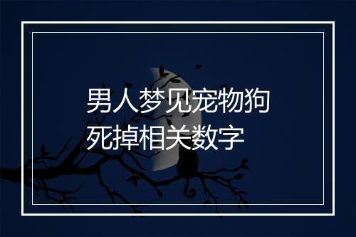 男人梦见宠物狗死掉相关数字