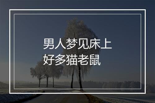 男人梦见床上好多猫老鼠