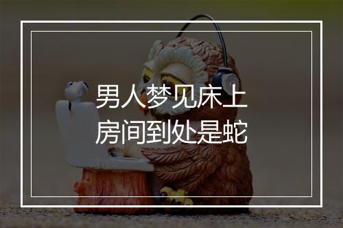 男人梦见床上房间到处是蛇