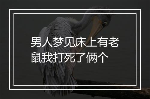 男人梦见床上有老鼠我打死了俩个