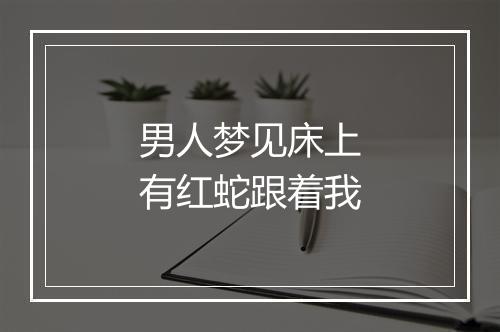 男人梦见床上有红蛇跟着我