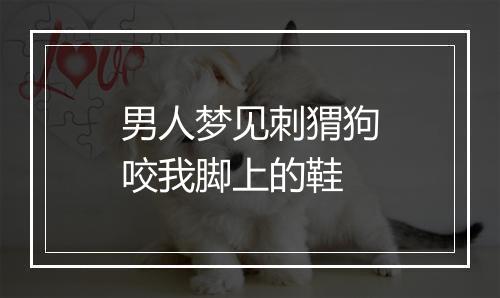 男人梦见刺猬狗咬我脚上的鞋