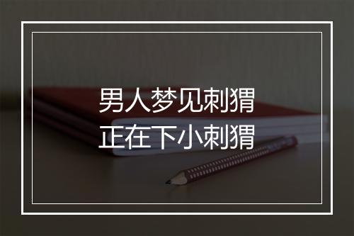 男人梦见刺猬正在下小刺猬