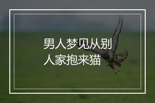 男人梦见从别人家抱来猫