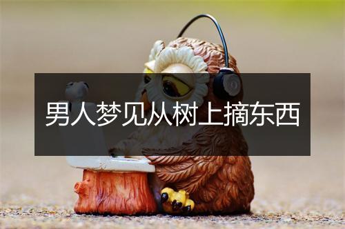 男人梦见从树上摘东西