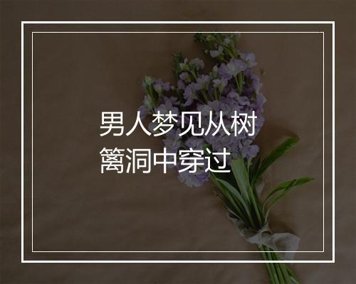 男人梦见从树篱洞中穿过