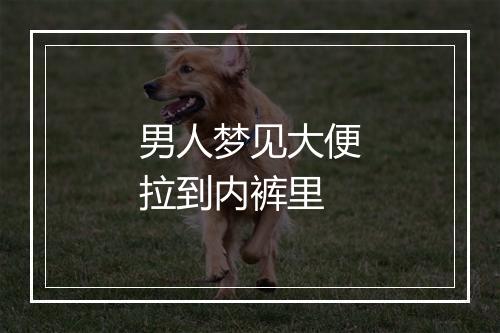 男人梦见大便拉到内裤里