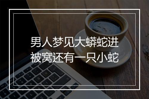 男人梦见大蟒蛇进被窝还有一只小蛇