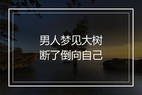 男人梦见大树断了倒向自己