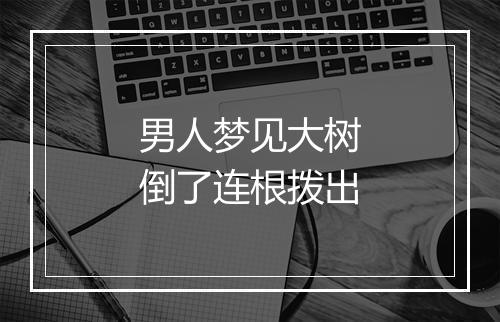 男人梦见大树倒了连根拨出