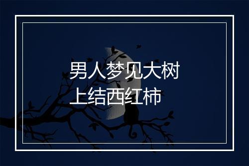 男人梦见大树上结西红柿