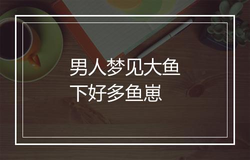 男人梦见大鱼下好多鱼崽