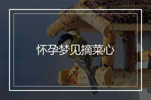 怀孕梦见摘菜心