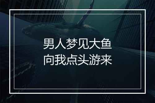 男人梦见大鱼向我点头游来