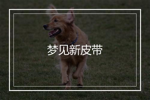 梦见新皮带