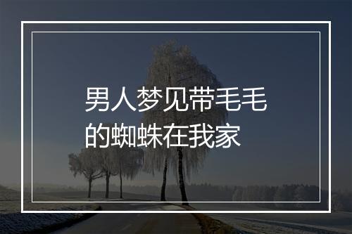 男人梦见带毛毛的蜘蛛在我家