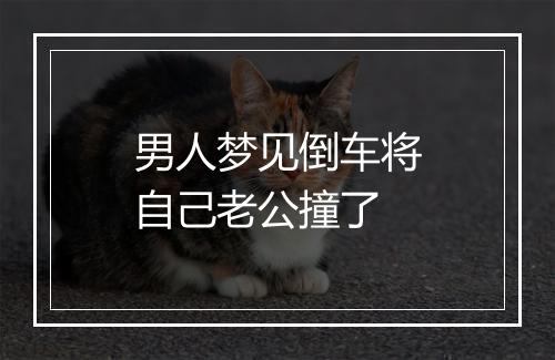 男人梦见倒车将自己老公撞了