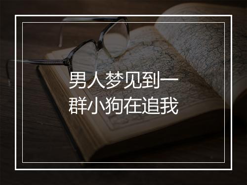 男人梦见到一群小狗在追我