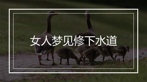 女人梦见修下水道