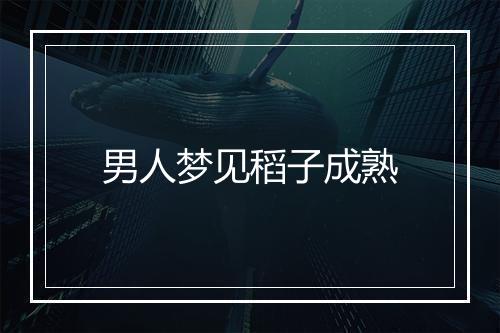 男人梦见稻子成熟