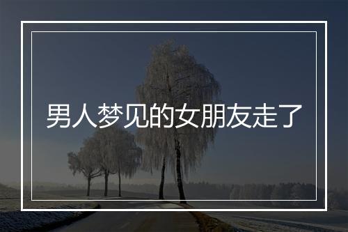 男人梦见的女朋友走了