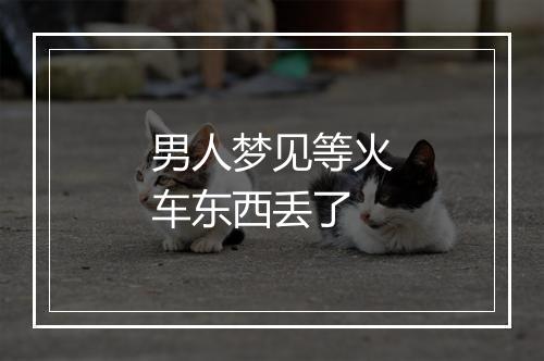 男人梦见等火车东西丢了