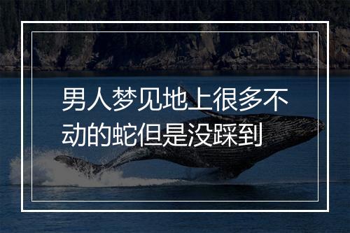 男人梦见地上很多不动的蛇但是没踩到