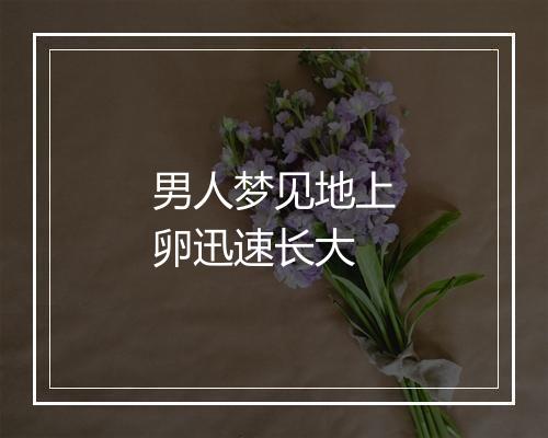 男人梦见地上卵迅速长大