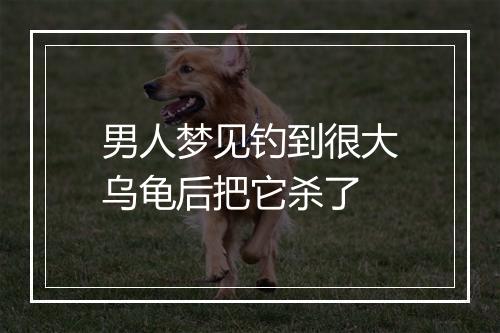 男人梦见钓到很大乌龟后把它杀了