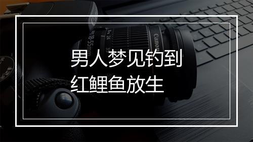 男人梦见钓到红鲤鱼放生