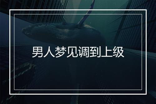 男人梦见调到上级