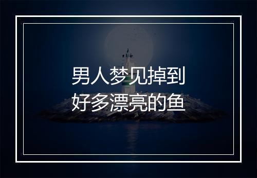 男人梦见掉到好多漂亮的鱼