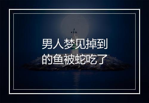 男人梦见掉到的鱼被蛇吃了