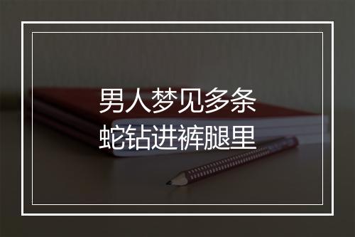 男人梦见多条蛇钻进裤腿里