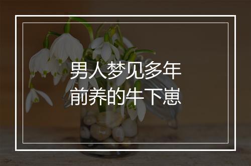 男人梦见多年前养的牛下崽